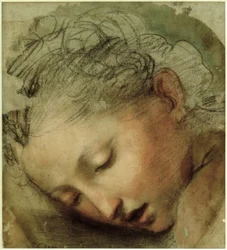Cabeça de mulher, 1568