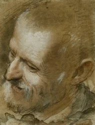 Estudo da cabeça de um homem barbudo virado para a esquerda, 1590