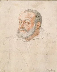 Retrato de um homem, Barozzi da Vignola, século XVI