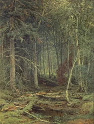 Pântano na floresta, outono, 1872