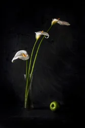 Lírios-de-calla e maçã