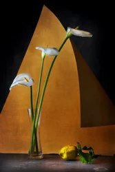 Natureza morta com lírios-calla serenos