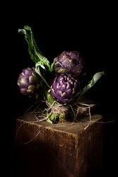 Alcachofras de um roxo vibrante