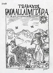 O mês de junho, colhendo as batatas