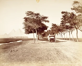 Cairo, avenida das Pirâmides #98