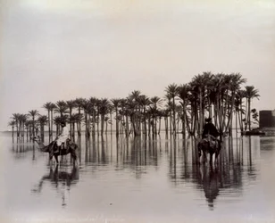 Homens em camelos enquanto atravessam uma área do deserto egípcio inundada pelo Nilo, Egipto