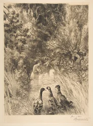 Patos surpresos, 1882.