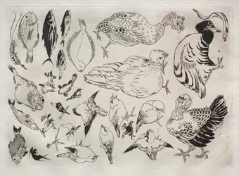 Serviço de Jantar (serviço Rousseau): Patos, peixes, etc. (nº 12)