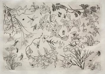 Serviço de Jantar (serviço Rousseau): Flores (nº 22)
