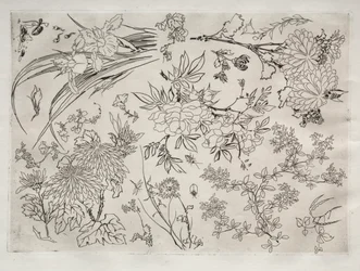 Serviço de Jantar (serviço Rousseau): Flores (nº 23)