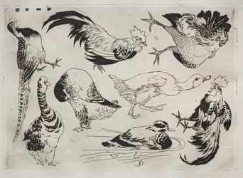 Serviço de Jantar (serviço Rousseau): Galos, patos, etc. (nº 13)