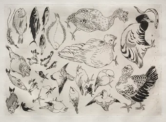 Serviço de jantar Serviço Rousseau: patos, peixes, etc. não. 12, 1866.