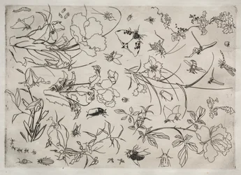 Serviço de Jantar Serviço Rousseau: Flores e Insetos no. 15, 1866.