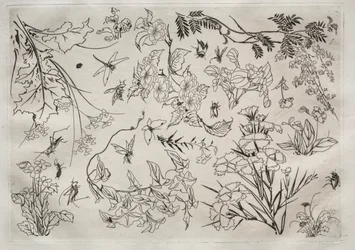Serviço de Jantar Serviço Rousseau: Flores no. 22, 1866.