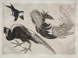 Serviço de jantar Serviço Rousseau: faisões e pássaros no. 18, 1866.