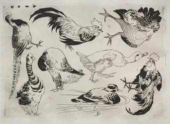 Serviço de Jantar Serviço Rousseau: Galos, patos, etc. não. 13, 1866.
