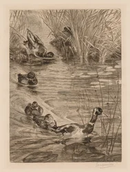 Patos brincando, c. 1870