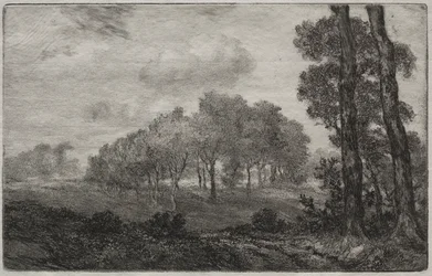 Paisagem, depois do francês