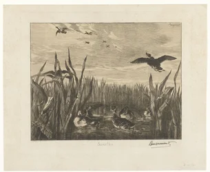 Paisagem com marrecos na água entre juncos Sarcelles (título no objeto)
