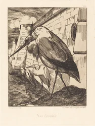 Les Cigognes (As Cegonhas)