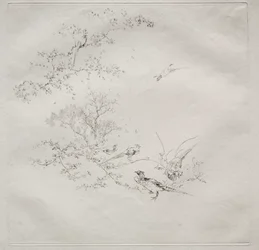 Serviço parisiense (serviço Haviland): Nevoeiro (nº 1)