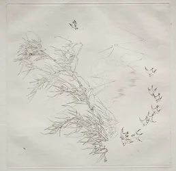 Serviço parisiense (serviço Haviland): The Storm (nº 8)