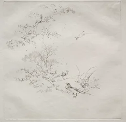 Serviço Parisiense Haviland Service: Nevoeiro n. 1, 1875.