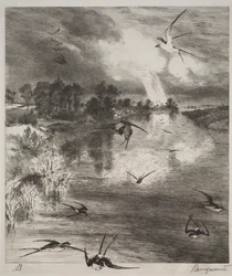 Andorinhas, 1882.