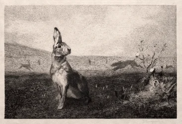 A Lebre (depois de A. de Balleroy)