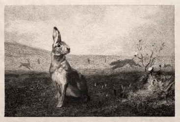 A lebre após A. de Balleroy, 1865.