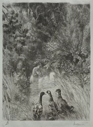 Os Patos Surpreendidos.