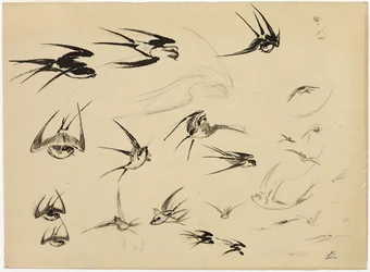 As andorinhas, c.1881 (caneta, pincel, tinta, giz, lápis de cera e grafite sobre papel)