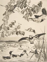 Abibe e Sarcelles, 1862.
