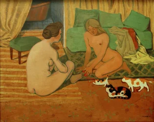 Mulheres nuas com gatos