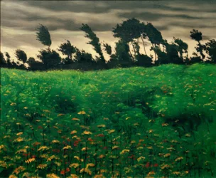 O campo florido
