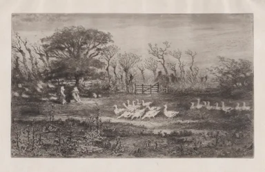 Gansos, 1860-98.