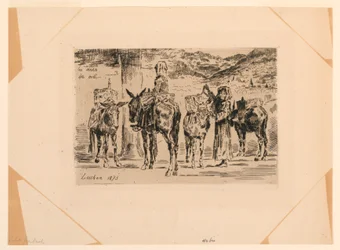 burros do sul