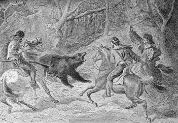 Roping a Grizzly, ilustração de &39;Harper&39;s Weekly&39;, 1874, de &39;The Pageant of America, Vol.3&39;, de Ralph Henry Gabriel, 1926
