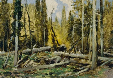 Šumava (do portfólio "16 Views of Czech Landscapes 