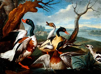Patos em uma paisagem fluvial (óleo sobre tela)