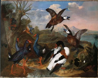 Patos de concha e outras aves em uma paisagem, 1720