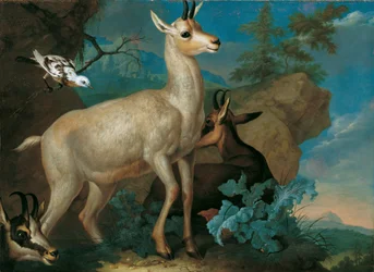 Três cabras da montanha e um melro