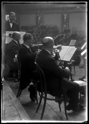 Instrumento de arco do membro vienense de uma orquestra filarmónica