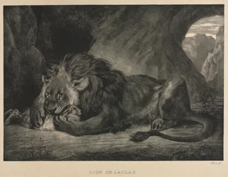 Leão de Atlas, 1829.