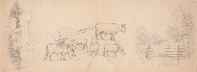 Vários esboços de vacas e touros