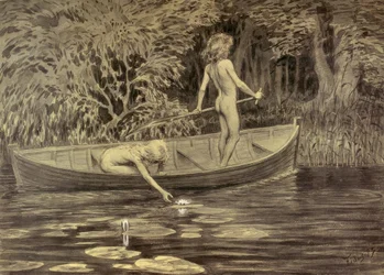 waterlilies