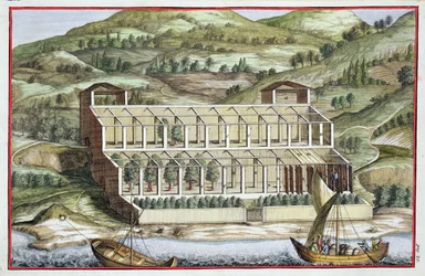 Estrutura de uma estufa, de "Hespérides", de Giovanni Battista Ferrari, gravada por Cammillo Congio (fl.1630), publicada em 1646