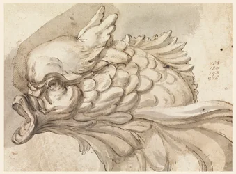 Desenho, cabeça de um golfinho, ca. 1775