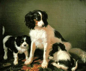 Um spaniel com dois cachorros (óleo sobre tela)