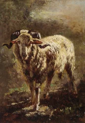 Cabra